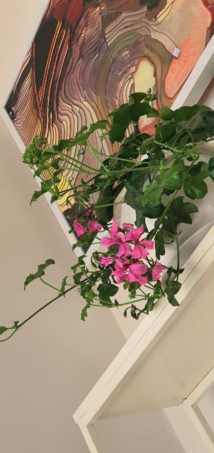 De Studio Homestay Hanoï Extérieur photo